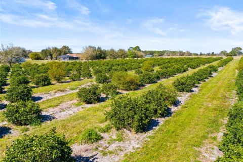 Land in Zephyrhills, Florida № 1014739 - photo 18