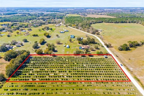 Land in Zephyrhills, Florida № 1014739 - photo 7