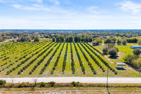 Land in Zephyrhills, Florida № 1014739 - photo 4