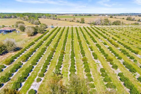 Land in Zephyrhills, Florida № 1014739 - photo 16