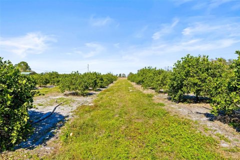 Land in Zephyrhills, Florida № 1014739 - photo 26