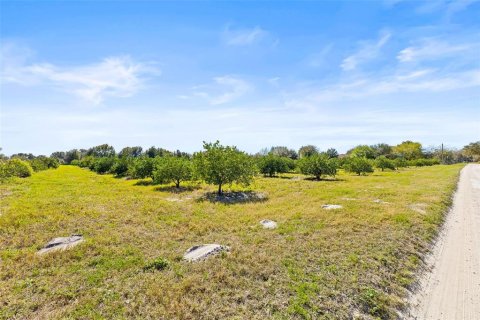 Land in Zephyrhills, Florida № 1014739 - photo 27