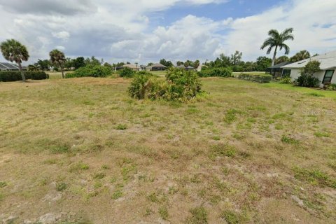 Land in Rotonda, Florida № 1265714 - photo 1