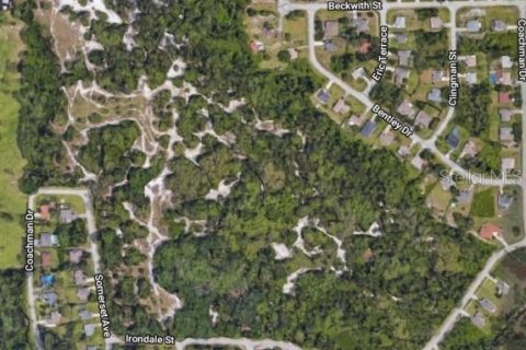 Купить земельный участок в Делтона, Флорида № 212942 - фото 2