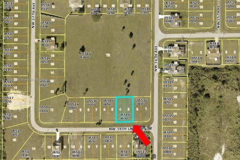 Land in Cape Coral, Florida № 72253 - photo 1