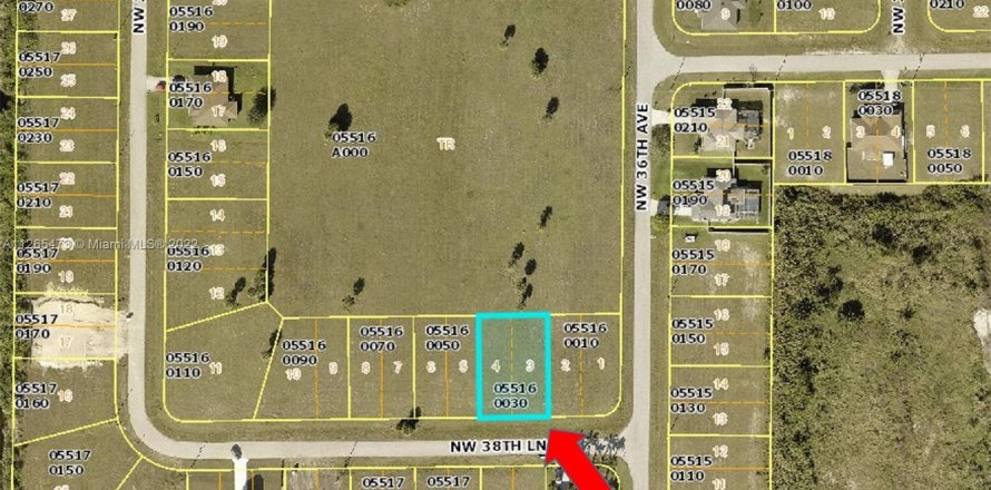 Land in Cape Coral, Florida № 72253