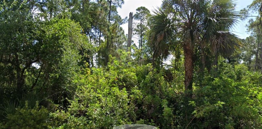 Terrain à Port Charlotte, Floride № 1242964