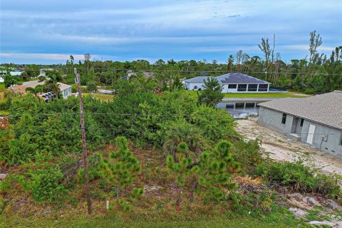 Land in Port Charlotte, Florida № 1242985 - photo 2