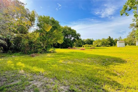 Land in Brooksville, Florida № 1264165 - photo 3