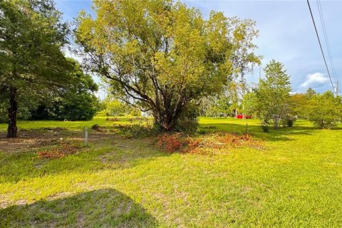 Land in Brooksville, Florida № 1264165 - photo 5