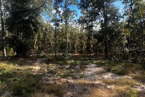 Terreno en venta en Melrose, Florida № 1429518 - foto 9