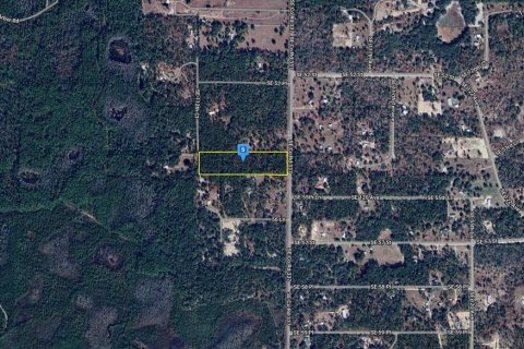 Terreno en venta en Morriston, Florida № 1432565 - foto 2