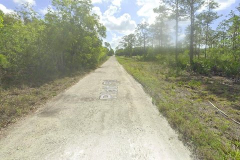 Terreno en venta en Naples, Florida № 1243692 - foto 6