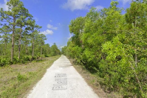 Terreno en venta en Naples, Florida № 1243692 - foto 7