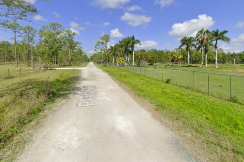 Terreno en venta en Naples, Florida № 1243692 - foto 3