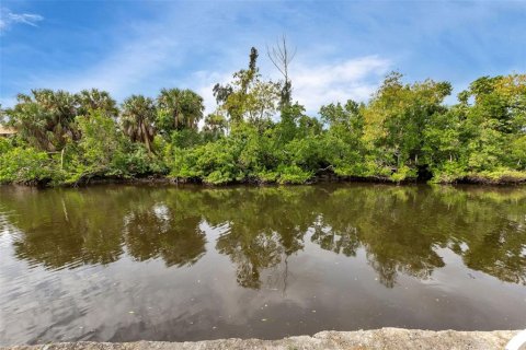 Land in Punta Gorda, Florida № 1334488 - photo 3