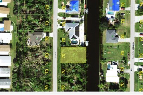 Land in Punta Gorda, Florida № 1334488 - photo 11