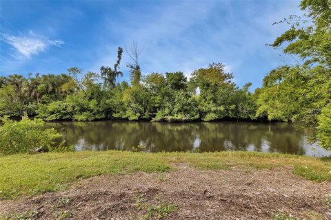 Land in Punta Gorda, Florida № 1334488 - photo 4