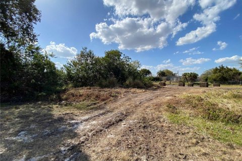 Terreno en venta en Punta Gorda, Florida № 1248896 - foto 26