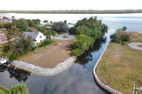 Terreno en venta en Punta Gorda, Florida № 1248896 - foto 7