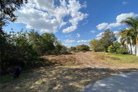 Terrain à vendre à Punta Gorda, Floride № 1248896 - photo 25