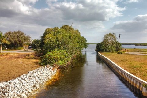 Land in Punta Gorda, Florida № 1248896 - photo 9