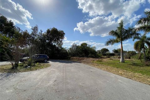 Land in Punta Gorda, Florida № 1248896 - photo 28