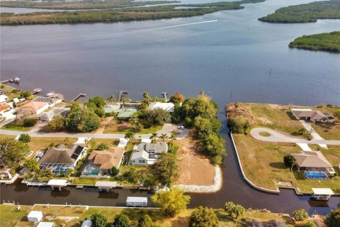 Land in Punta Gorda, Florida № 1248896 - photo 1