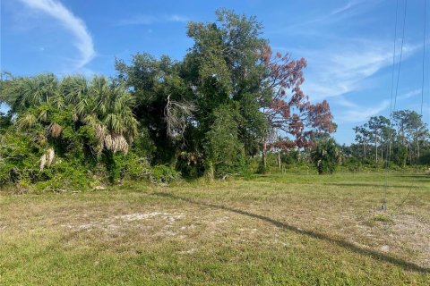 Land in Rotonda, Florida № 1194923 - photo 1