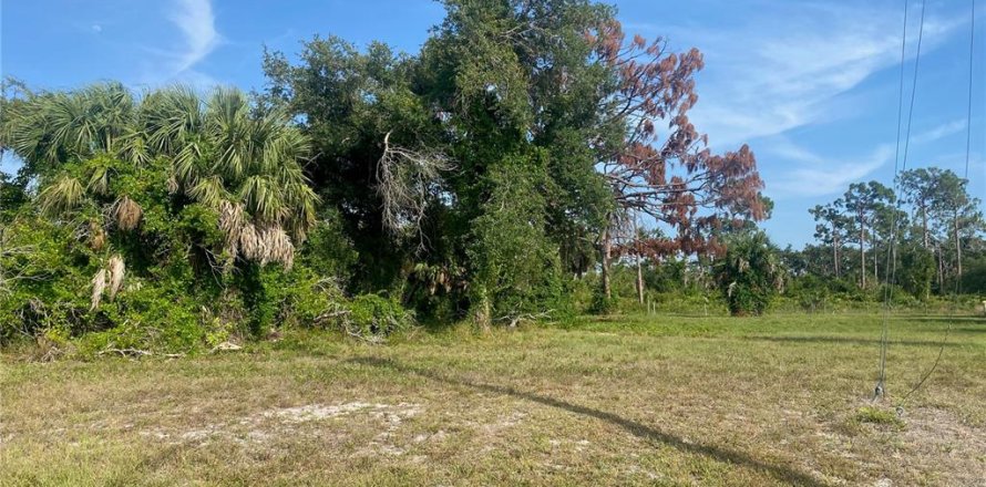 Land in Rotonda, Florida № 1194923