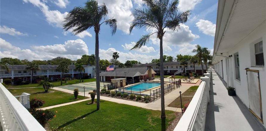 Condominio en New Port Richey, Florida, 1 dormitorio  № 1249885