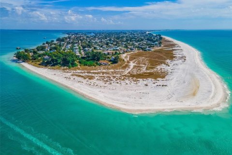 Villa ou maison à vendre à Anna Maria, Floride: 6 chambres, 710.89 m2 № 1311794 - photo 8