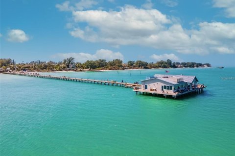 Villa ou maison à vendre à Anna Maria, Floride: 6 chambres, 710.89 m2 № 1311794 - photo 10