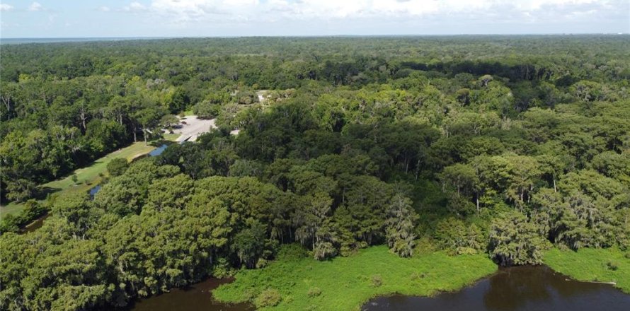 Terrain à Gainesville, Floride № 1369765