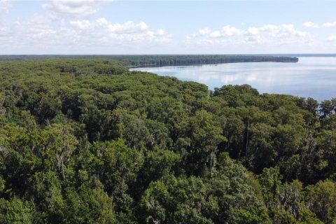 Terrain à vendre à Gainesville, Floride № 1369765 - photo 4