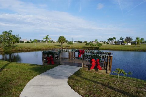 Terrain à vendre à Punta Gorda, Floride № 926088 - photo 12