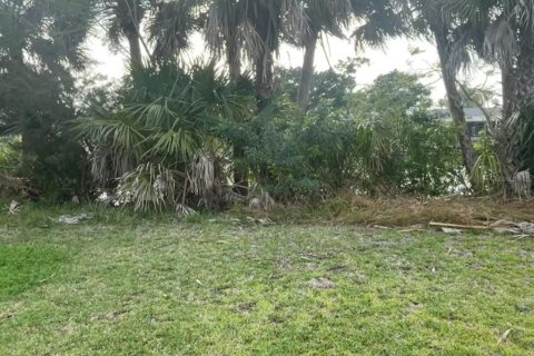 Terreno en venta en Hernando Beach, Florida № 1314363 - foto 1