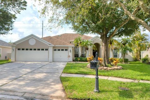 Villa ou maison à vendre à Tampa, Floride: 4 chambres, 242.75 m2 № 1314455 - photo 1