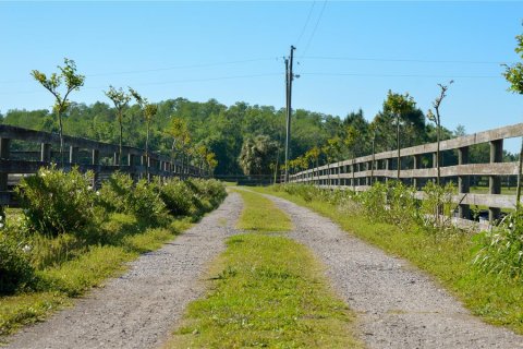 Land in Wesley Chapel, Florida № 1401890 - photo 3