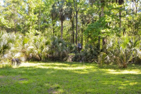 Land in Wesley Chapel, Florida № 1401890 - photo 15