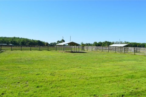 Land in Wesley Chapel, Florida № 1401890 - photo 4