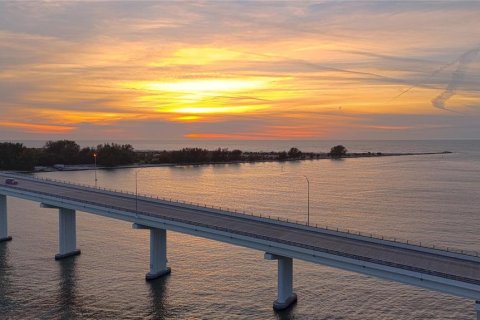 Copropriété à louer à Oldsmar, Floride: 2 chambres, 85.01 m2 № 1366940 - photo 3