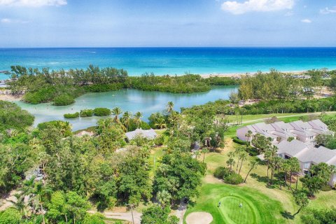 Condo in Jupiter, Florida, 2 bedrooms  № 1179638 - photo 15