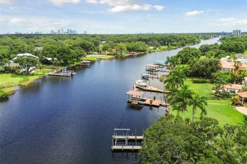 Villa ou maison à vendre à Tampa, Floride: 7 chambres, 399.02 m2 № 1393729 - photo 3