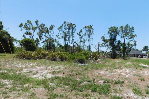 Land in Rotonda, Florida № 575967 - photo 12