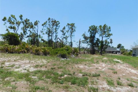 Land in Rotonda, Florida № 575967 - photo 6