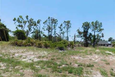 Terreno en venta en Rotonda, Florida № 575967 - foto 9