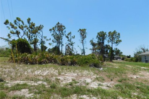 Terrain à vendre à Rotonda, Floride № 575967 - photo 5