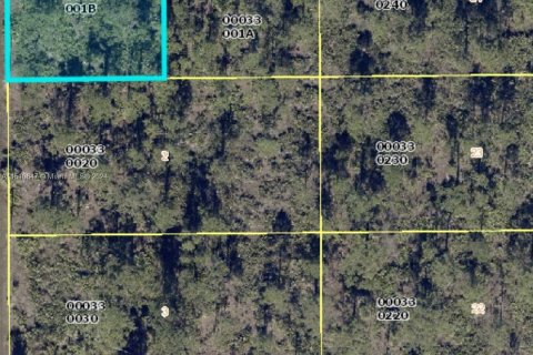 Купить земельный участок в Лихай-Эйкерс, Флорида № 981472 - фото 1