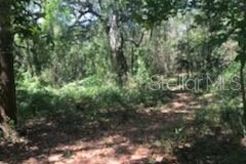 Terreno en venta en Dade City, Florida № 1140237 - foto 5